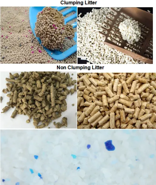 clumping litter VS Non clumping litter.webp